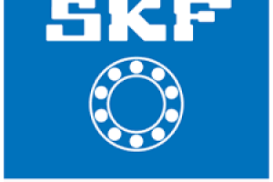 skf-removebg-preview